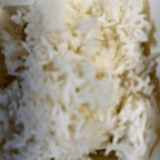 Best 白饭 White Rice in Southbridge, MA